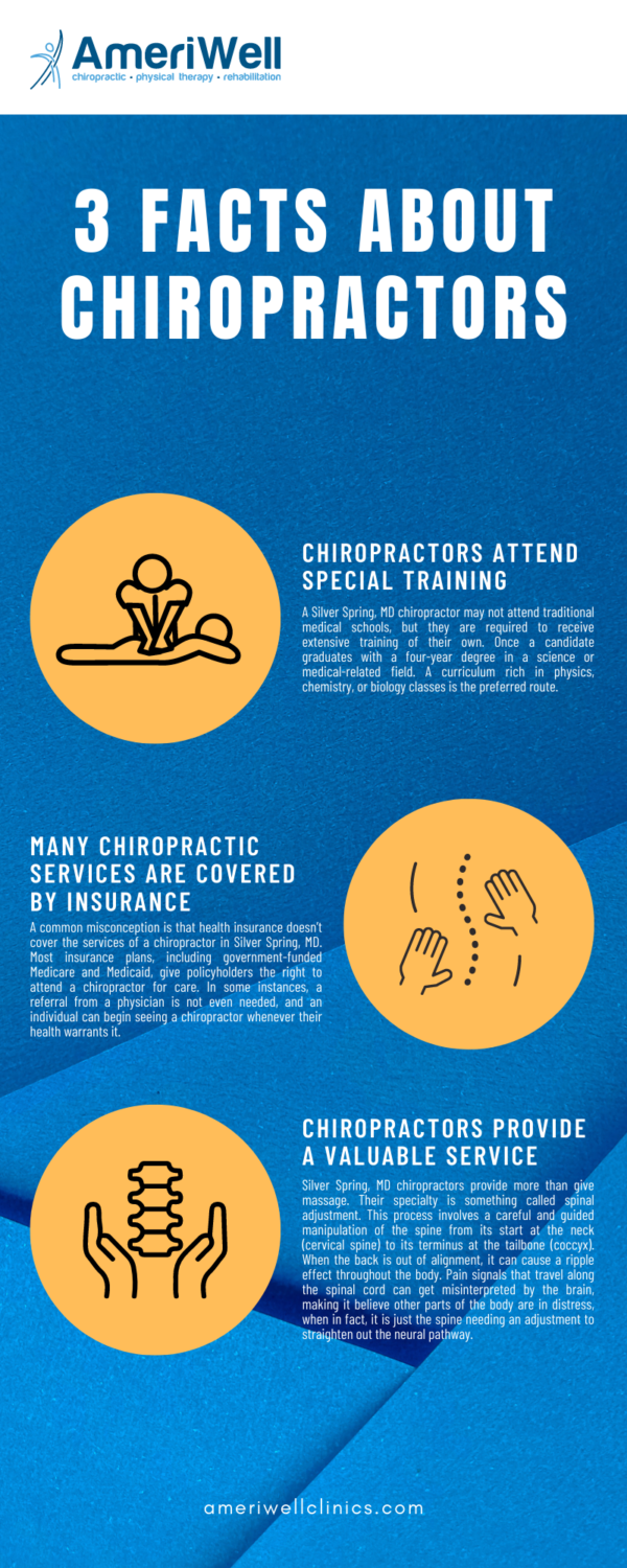 3 Facts About Chiropractors